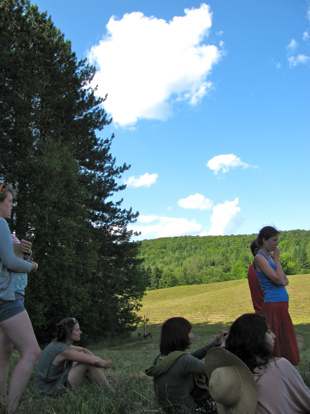 midden Bread and Puppet Summer Apprenticeship Part 1