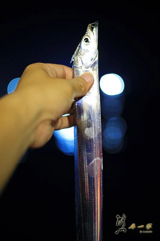 基隆八斗子碧砂漁港|華倫六號娛樂海釣船