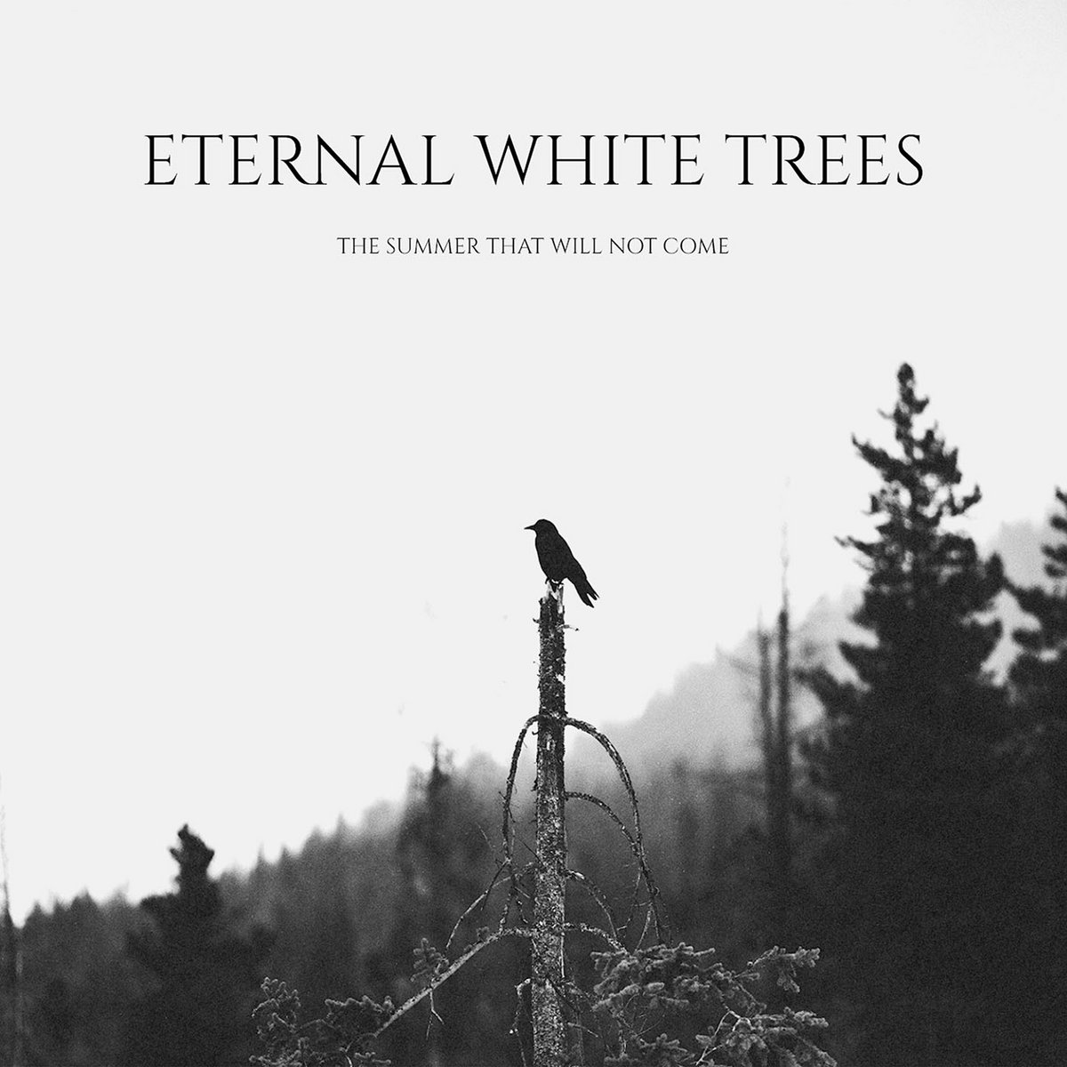 Eternal White Trees - "The Summer That Will Not Come" - 2023