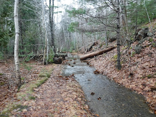  Breakneck Road coverec in water in Acadia, Maine