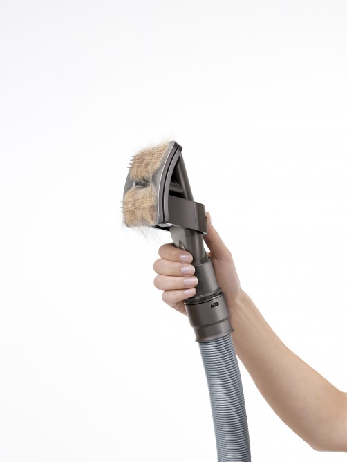 The dog in world Dyson answers dog hair problem with the Groom tool