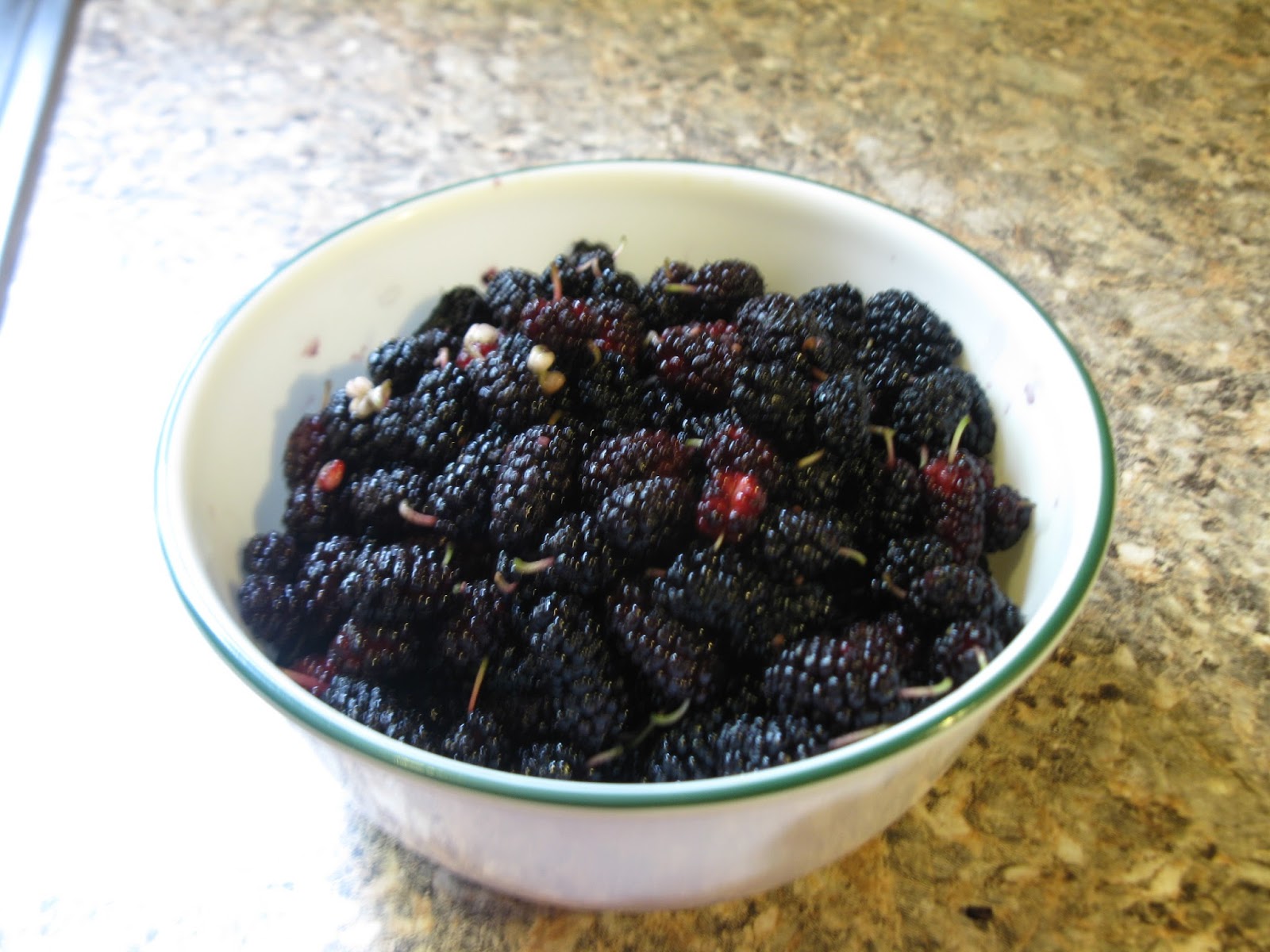 Simply Homemaking Mulberry Jam!