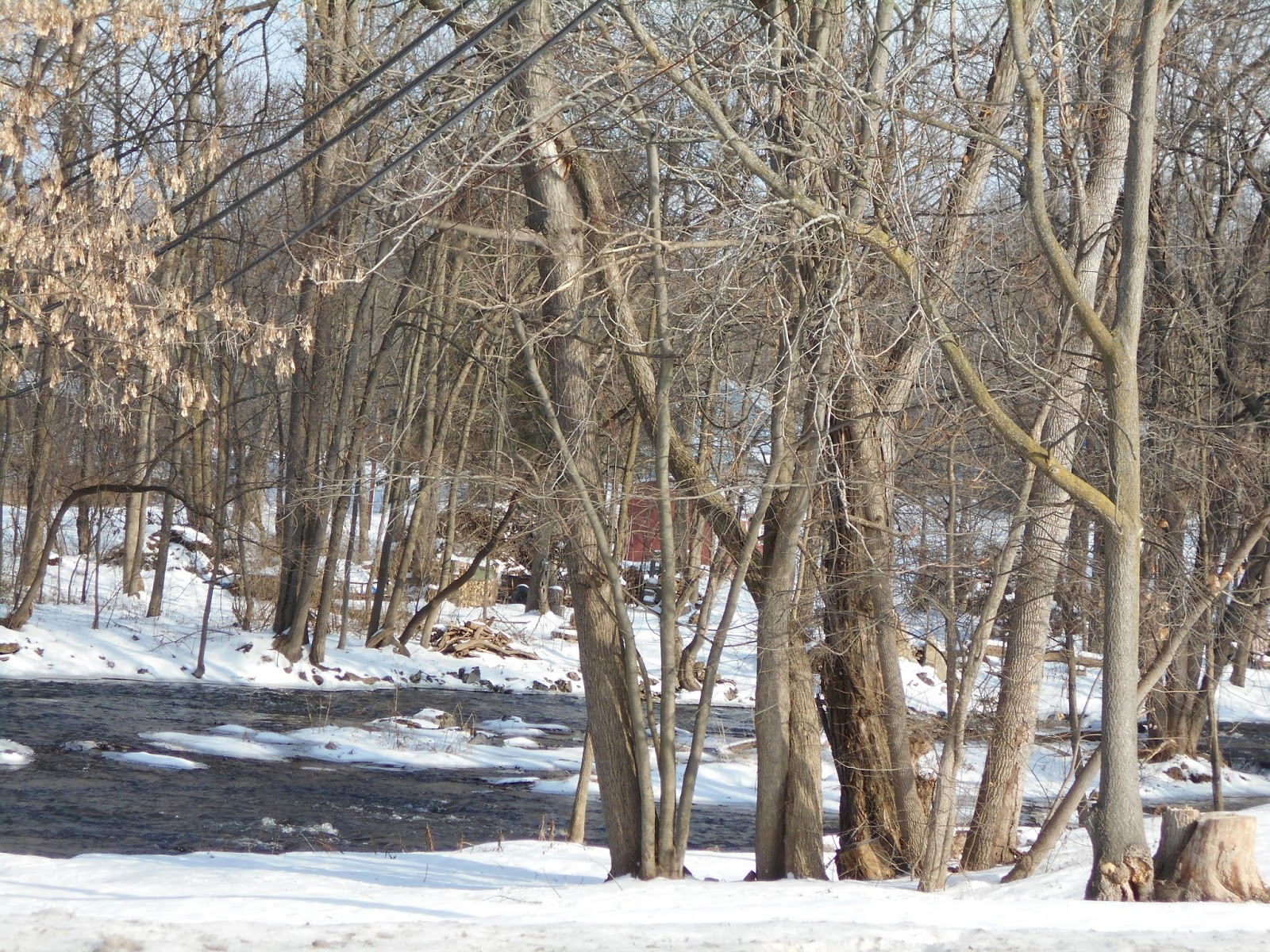 New York State of Mind WINTER STREAM SHORTSVILLE, NY