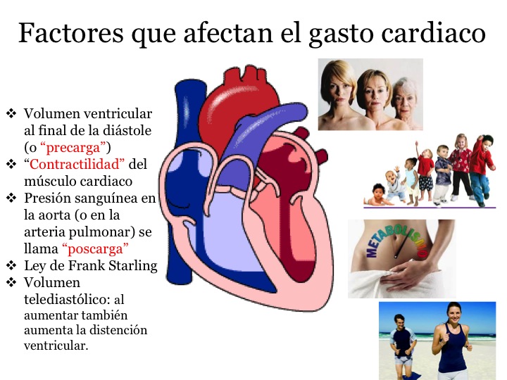 Portafolio de evidencias de la materia de Fisiología Humana: Factores