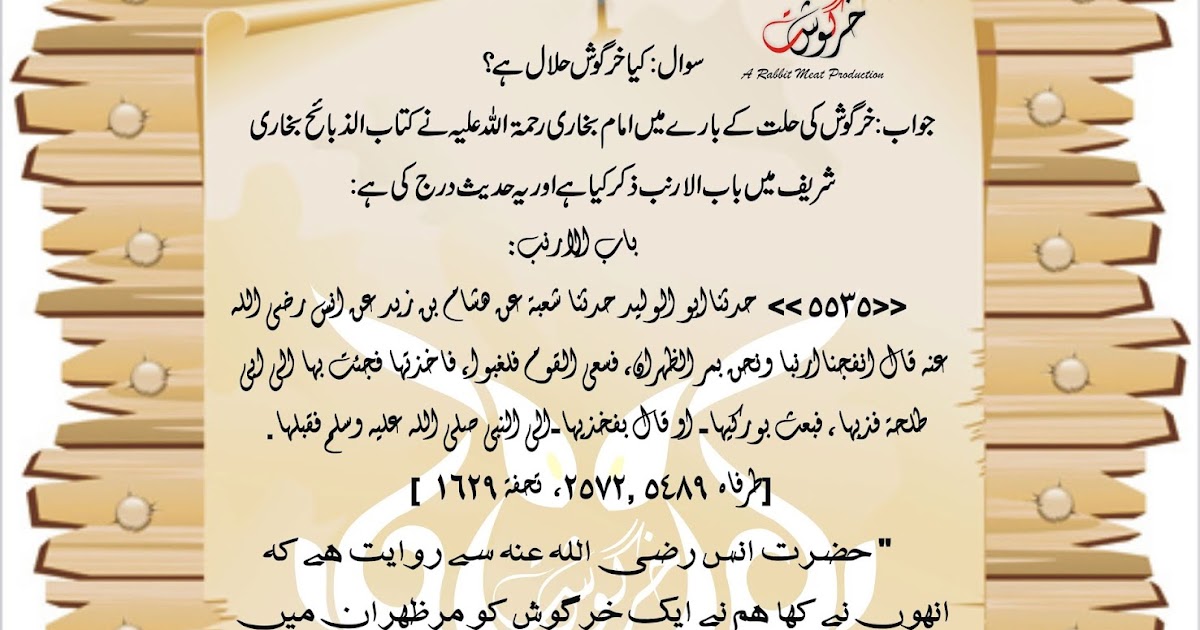 Professional Rabbitry Is Rabbit Meat Halal Kya Khargosh Khana 