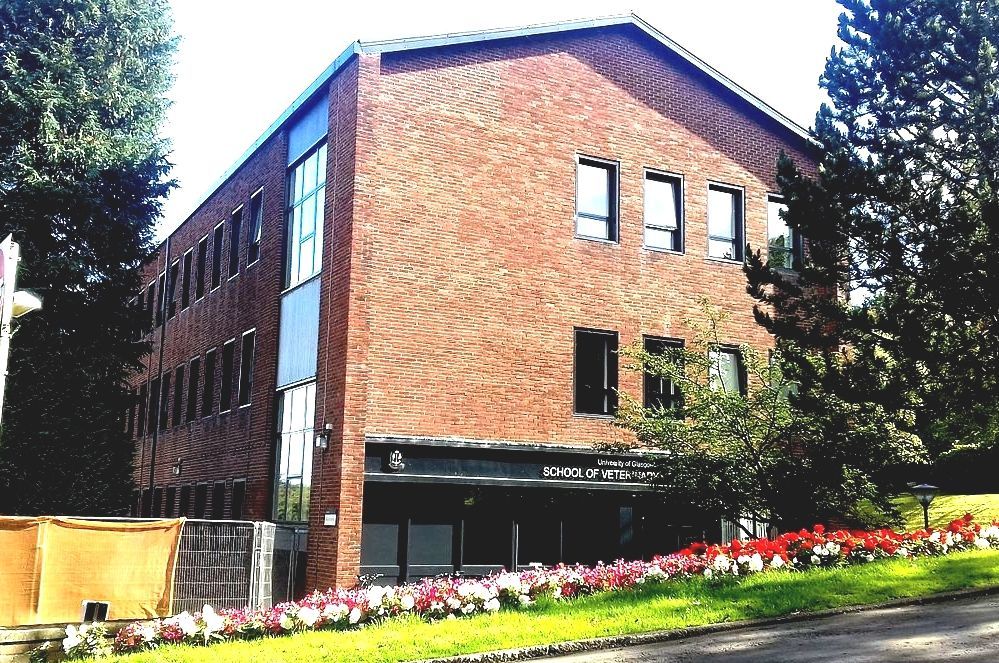 University Of Glasgow School Of Veterinary Medicine Glasgow Vet School