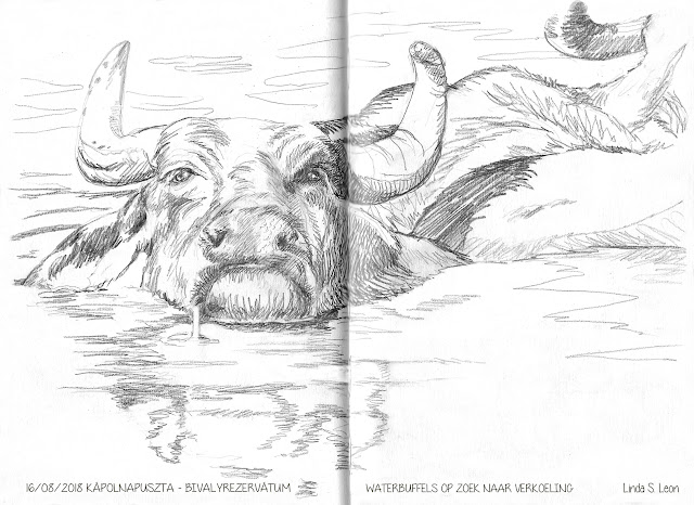 In the heat of noon, the buffaloes cool down in a shrinking mud pool - sketch by Linda S. Leon