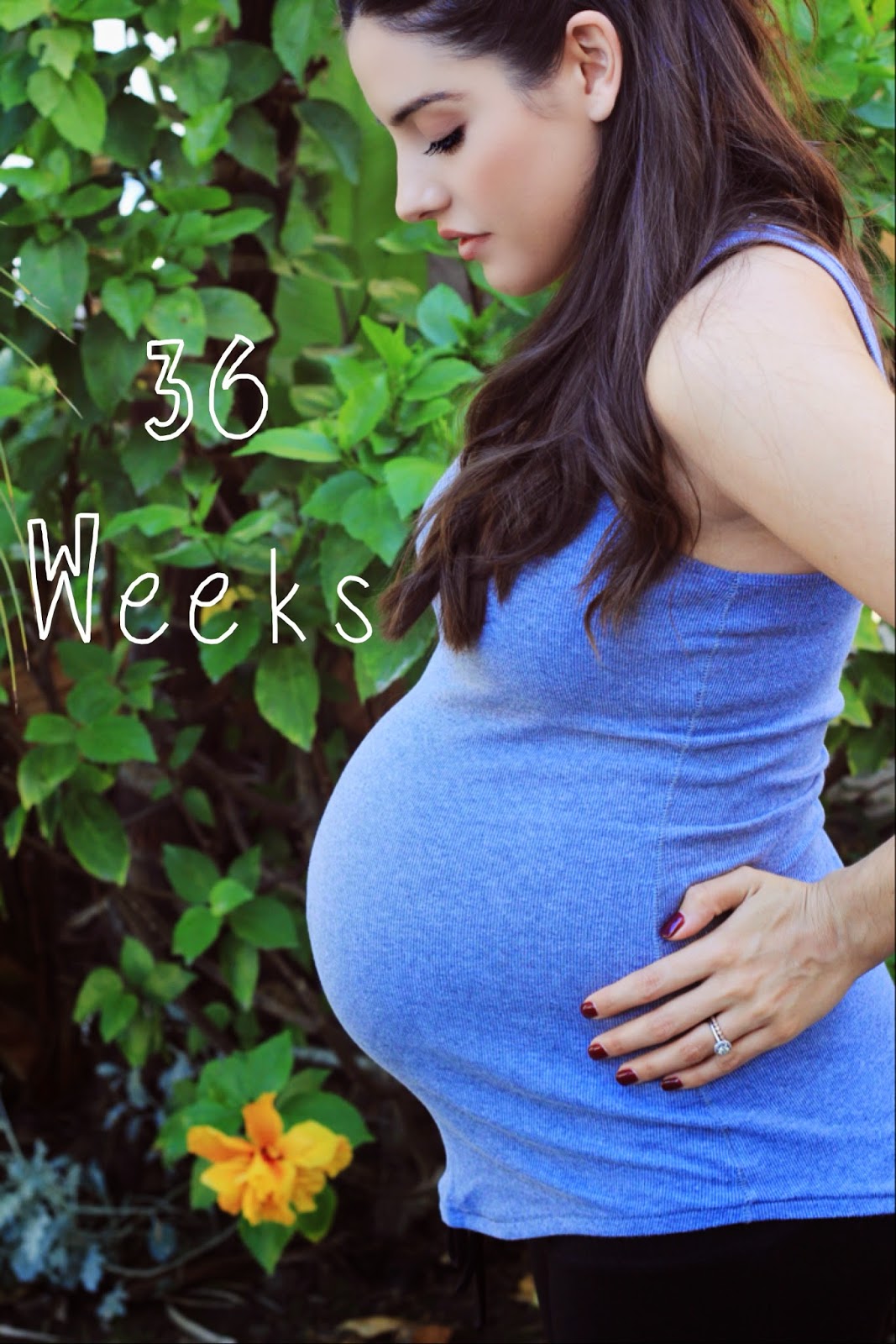Zack&Sydney: 36 Weeks Pregnant Picture