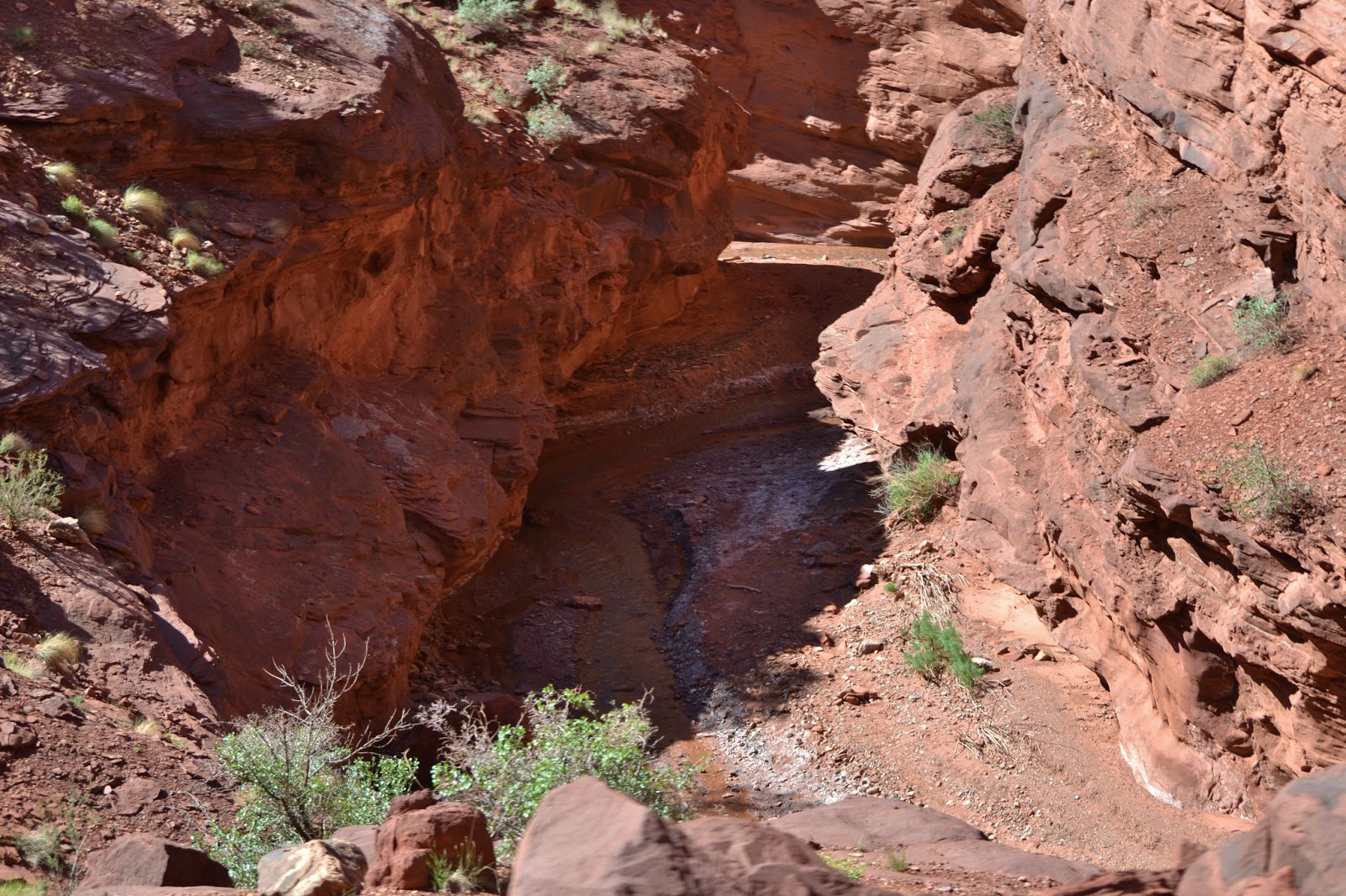goodtimesrollin Onion Creek, Thompson Canyon, Bever Mesa