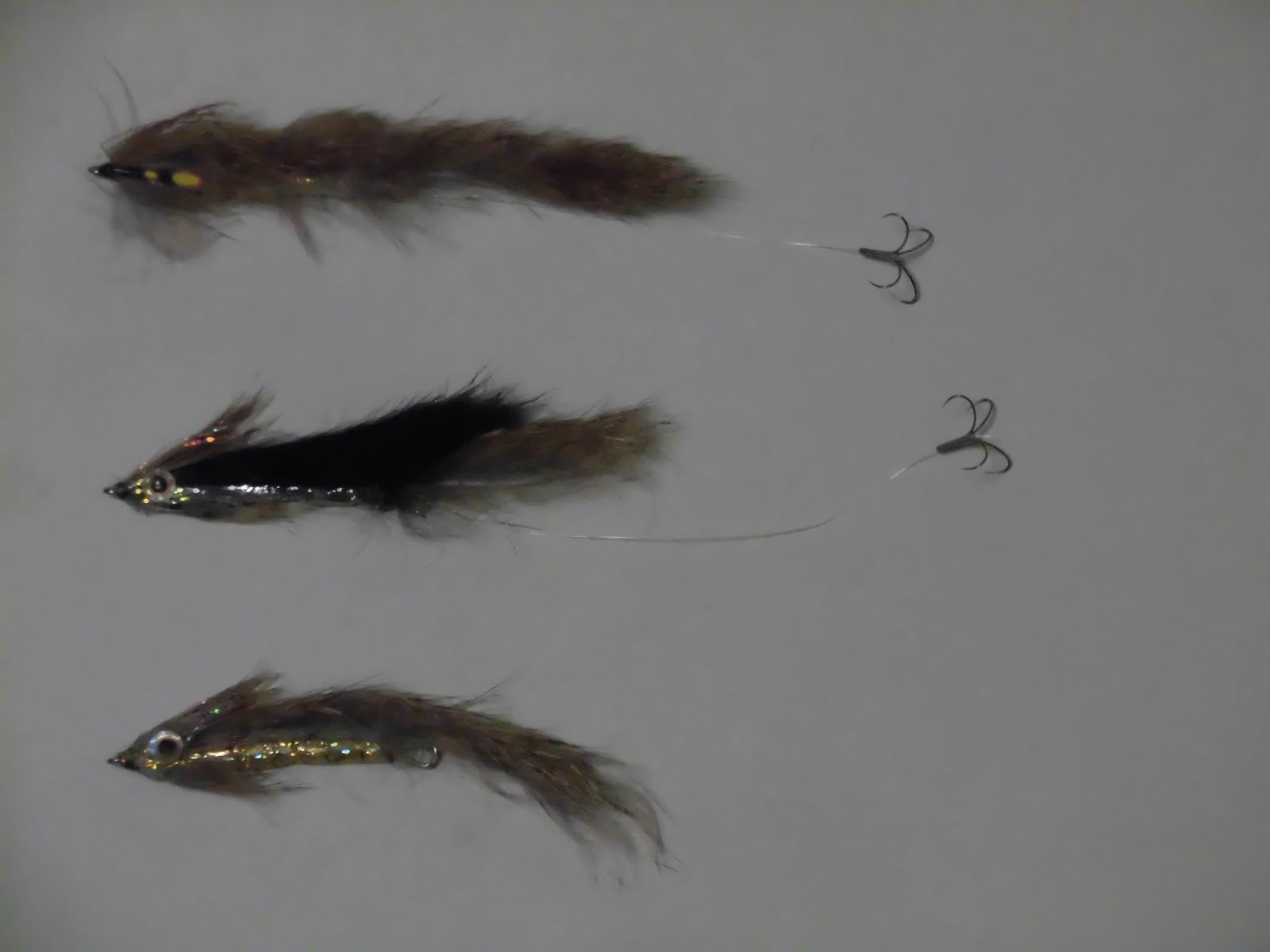 サクラマス釣れたらいいな 鮎釣り２回目に向けて