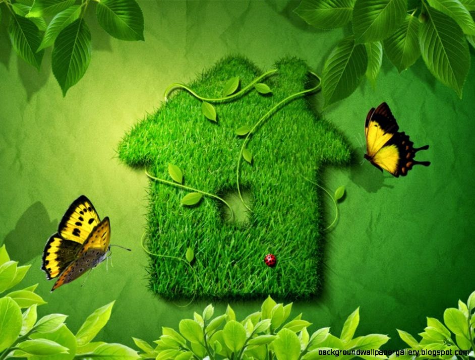 Wallpaper Nature Beauty Green Hd Cool 7 HD Wallpapers