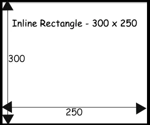 Inline Rectangle 300 x 250 