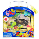 Littlest Pet Shop Postcard Pets Turtle (#1009) Pet