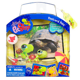 Littlest Pet Shop Postcard Pets Turtle (#1009) Pet