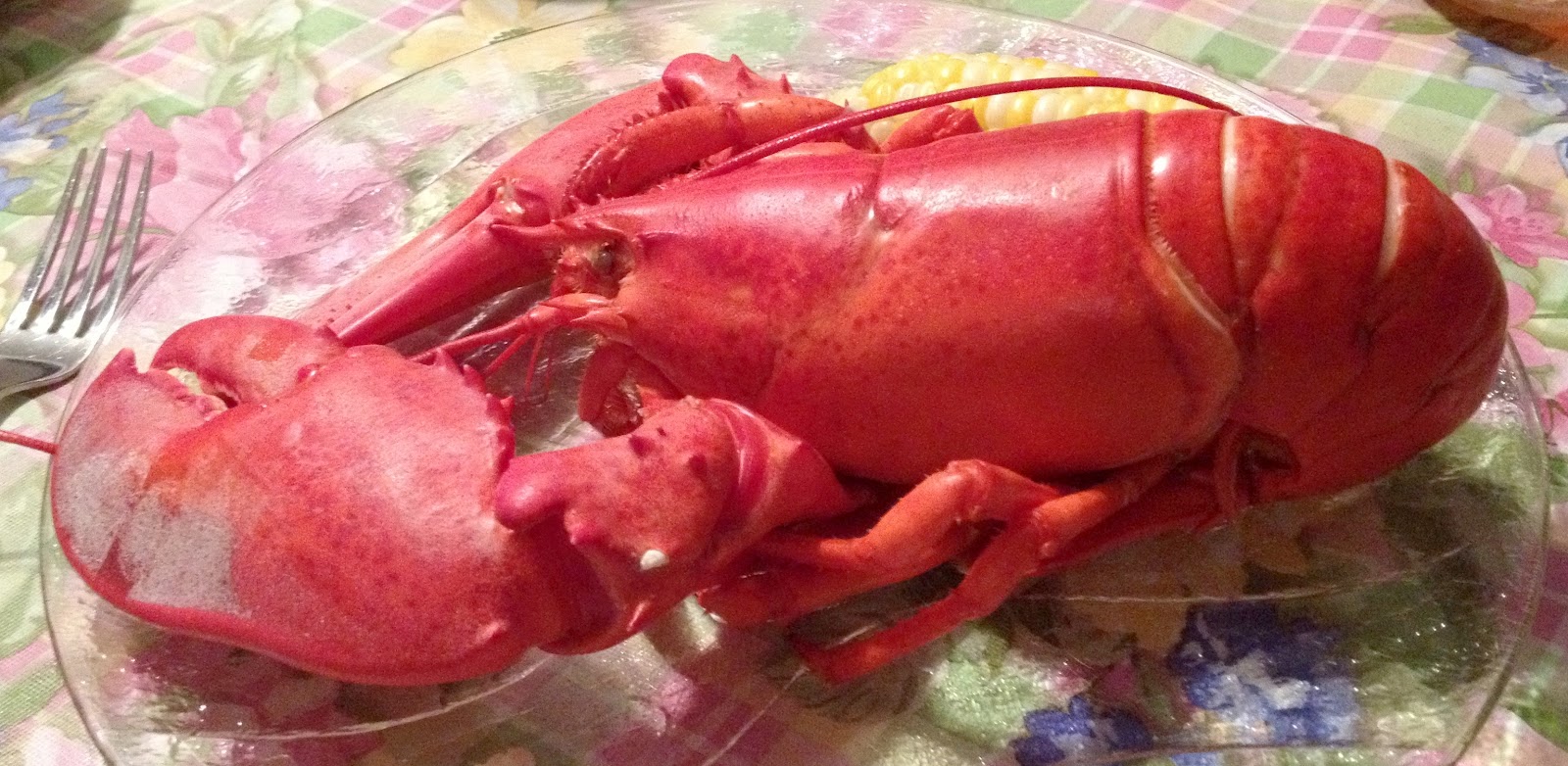 Eating & How to Pick a Lobster in Pictures