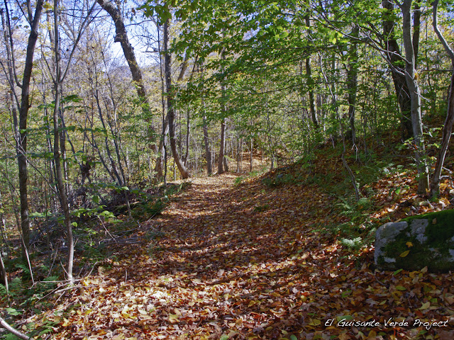 Cobble Hill Trail - Lake Placid, por El Guisante Verde Project