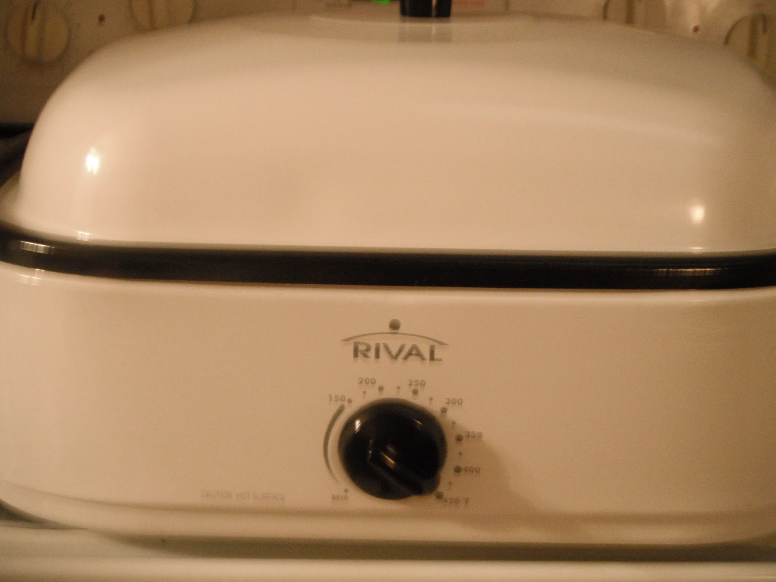 Britsy's Reviews Review Rival 14QT Roasting Oven