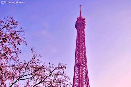 Wallpaper Beautiful Pink Eiffel Tower