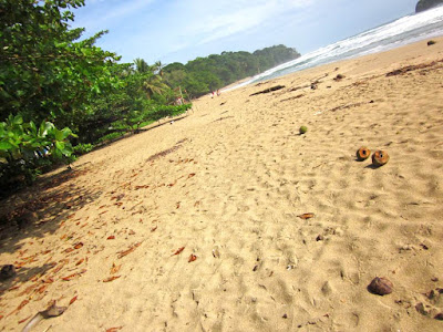 Playa de Cocles en el Caribe Sur de Costa Rica