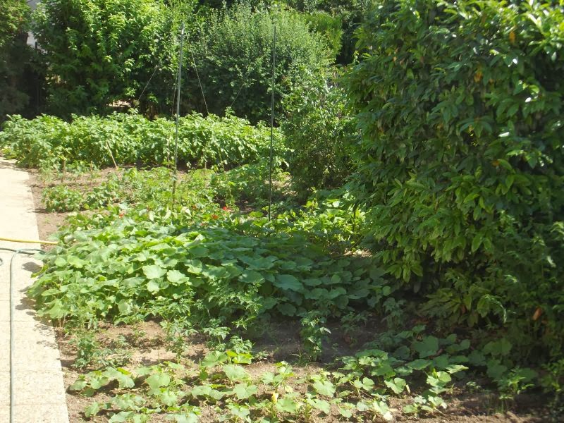 Ina Garten Blog Walltawk