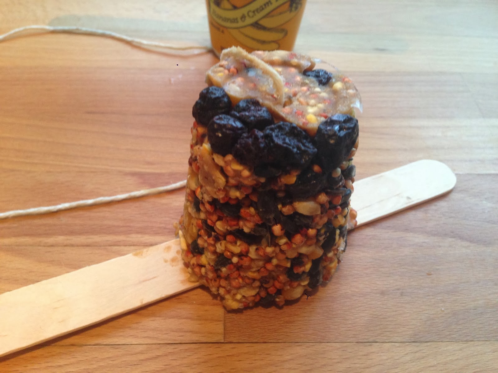 The Blue Barn Yogurt Pot Bird Feeders