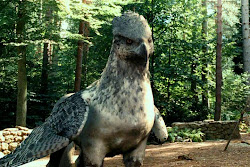 buckbeak hippogriff potter harry azkaban prisoner animal hippogryph creatures beasts hp half bird creature horse fantastic he hippogryphs magical mythical