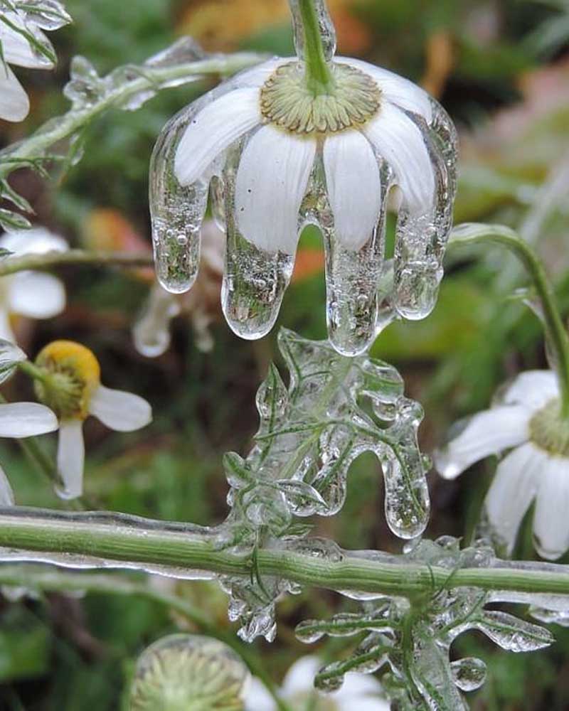 10 fotografias verdadeiramente incomuns 10 fotografias verdadeiramente incomuns