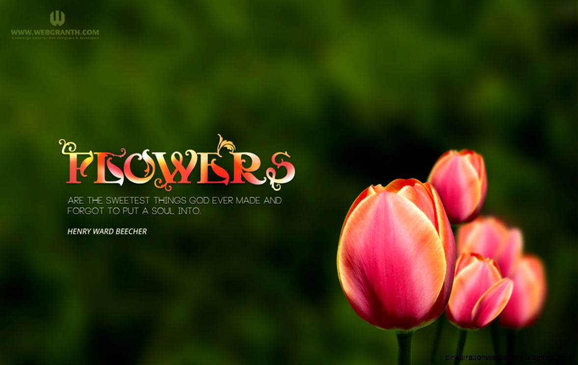 Top Windows 8 Flower Wallpaper Wallpapers