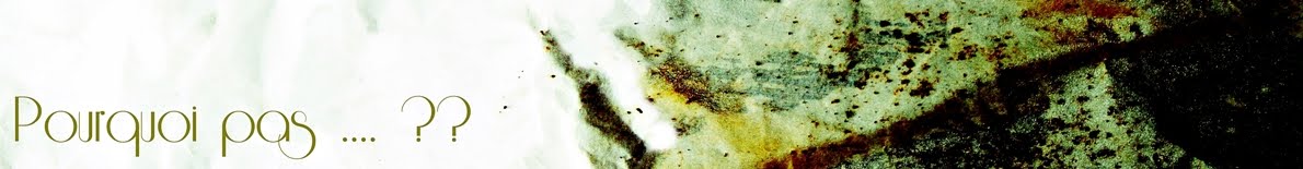 Pourquoi pas .... ??