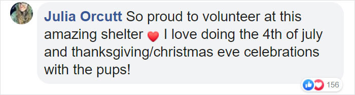 People Skipped The Fireworks On July 4th To Comfort Frightened Shelter Dogs People Skipped The Fireworks On July 4th To Comfort Frightened Shelter Dogs