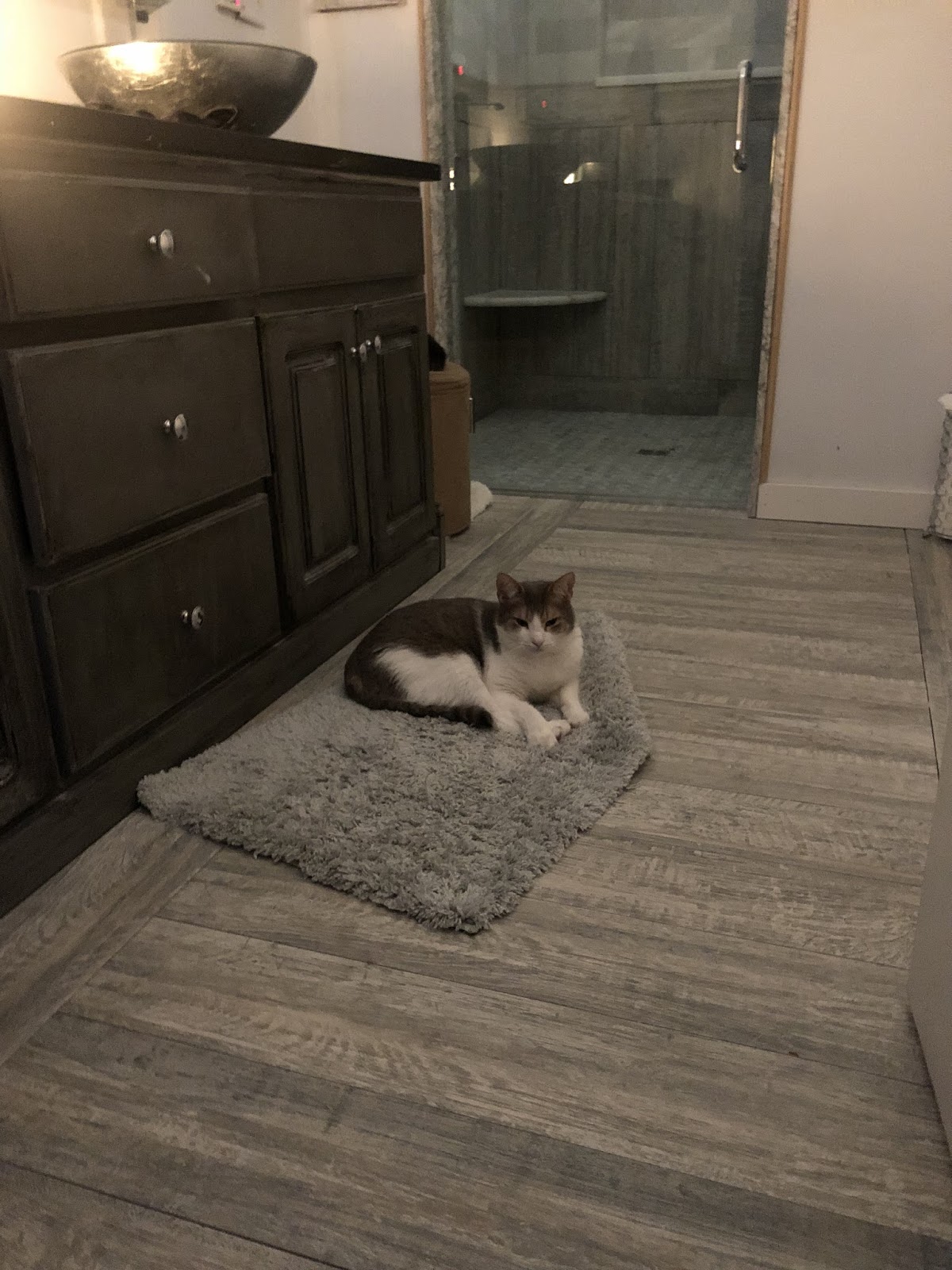 Bathroom Remodeling Columbus GAKennedyKitchensandBath