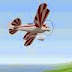 Download Game Gratis: Flying Model Simulator 2.0 - PC