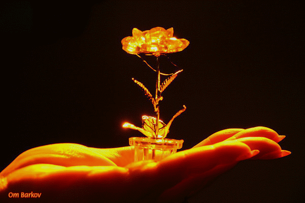 2.gif