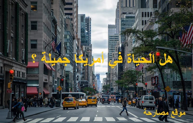 هل الحياة في أمريكا جميلة