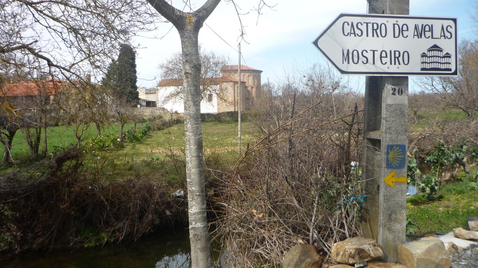 Palmilheiro Castro de Avelãs