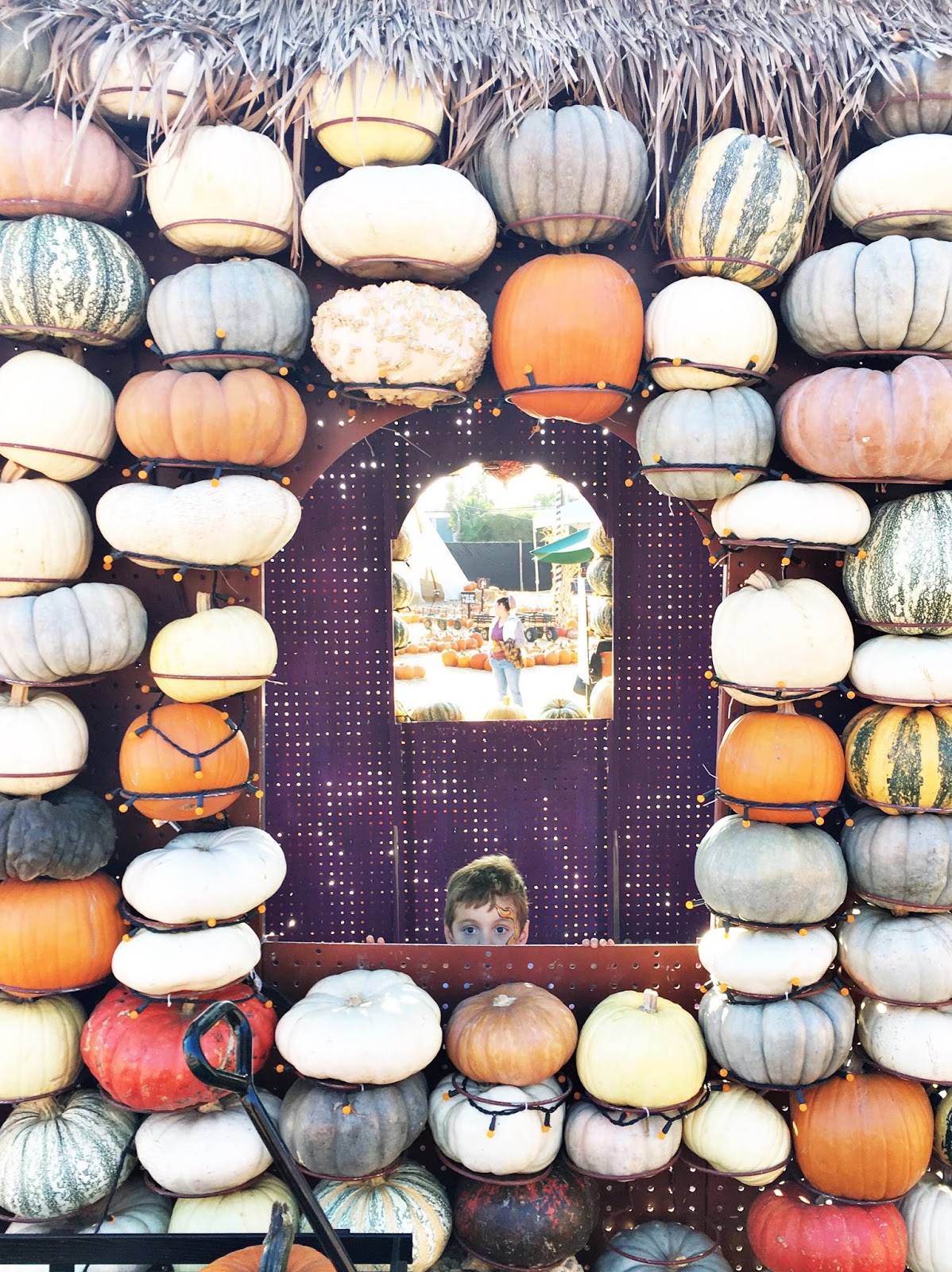 Do Tell, Anabel: Fall Inspo: Pumpkin Patches & Swedish Forests!