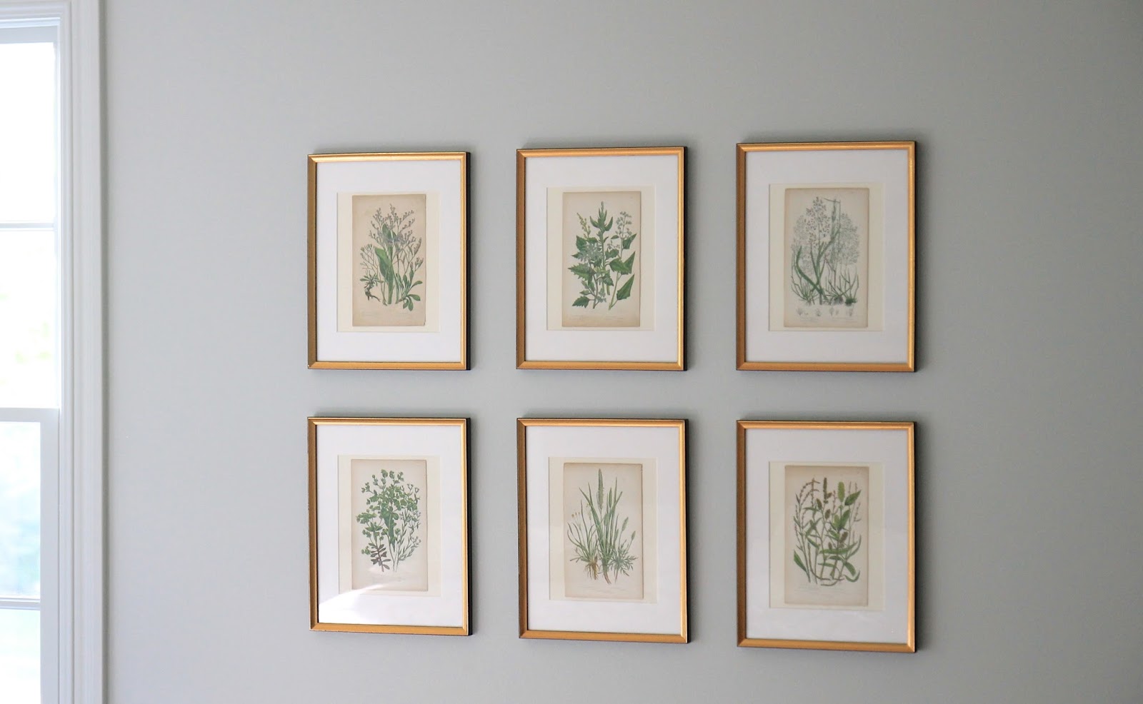 Jenny Steffens Hobick Gold Leaf Frames, Mat Boards & Botanical Prints