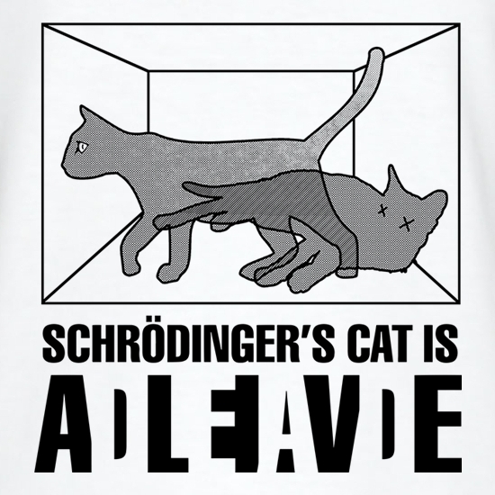 Schrödinger’s Kittens - The Boundary Between Quantum And Classical ...