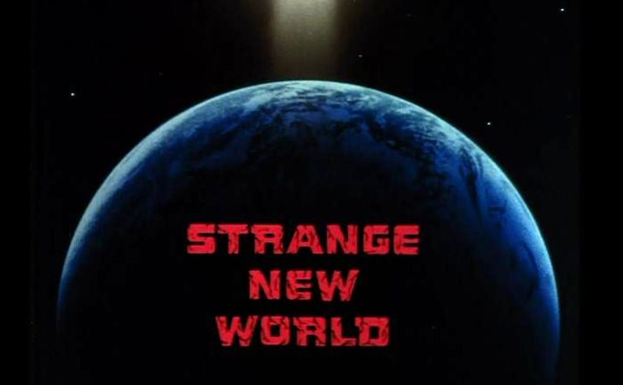 John Kenneth Muir's Reflections on Cult Movies and Classic TV: CULT TV