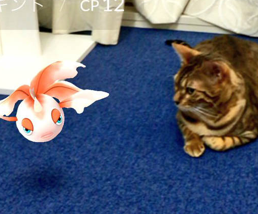 pokemon go funniest screenshot with animal