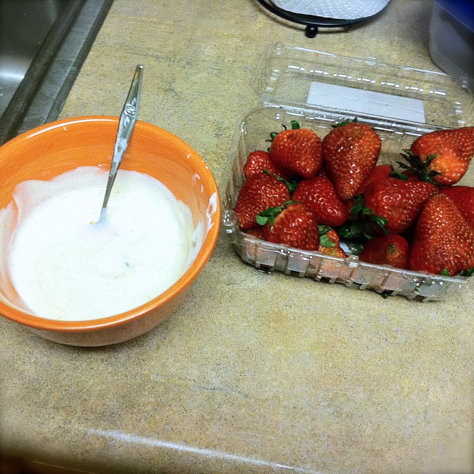 BinomialBaker Simple Greek Yogurt Fruit Dip