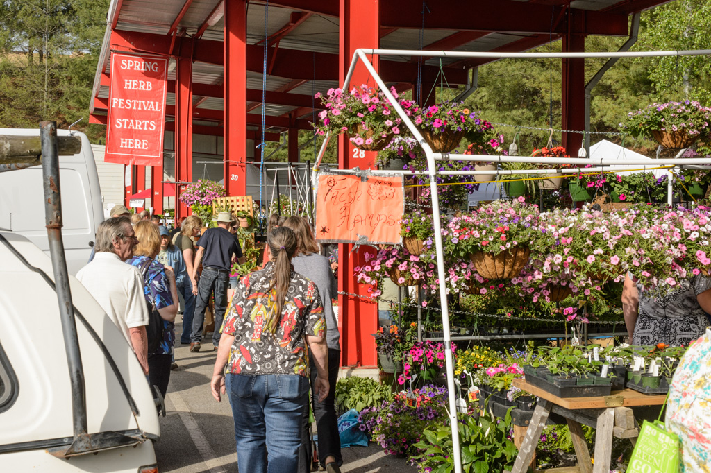 Bubba's Garage Asheville Herb Festival