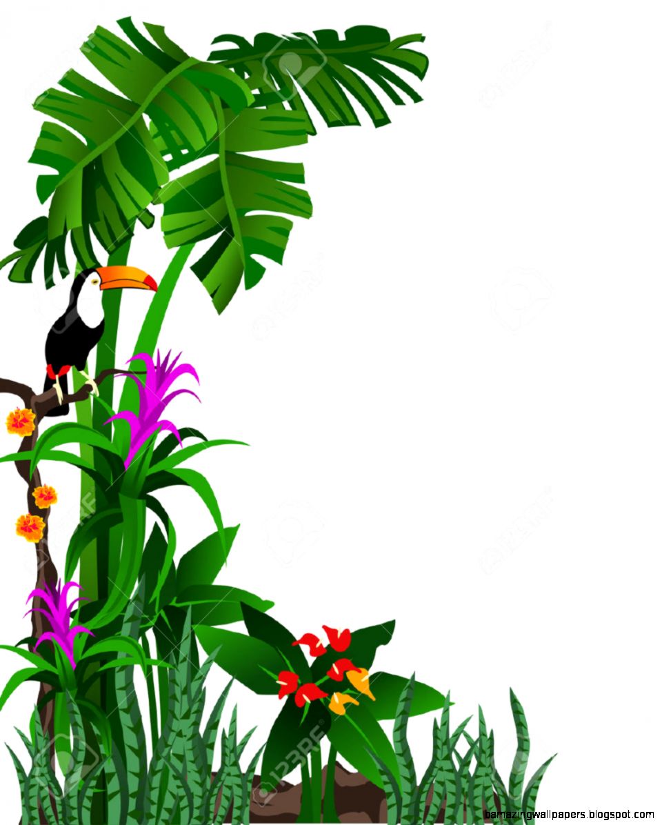 Rainforest Trees Clipart Amazing Wallpapers