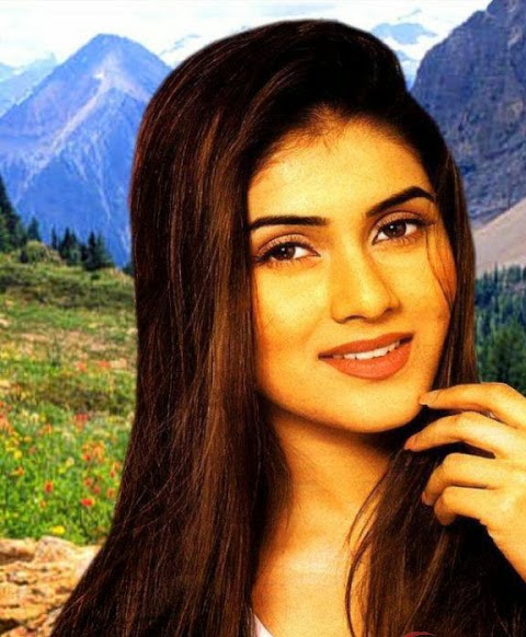 Indian Actress Keerthi Reddy HD Picture For Wallpaper - Indian Actress ...