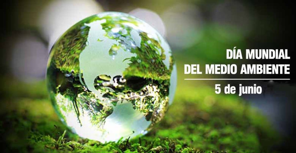 Dia Mundial del Medio Ambiente 5 de Junio Dia Mundial del Medio Ambiente 5 de Junio