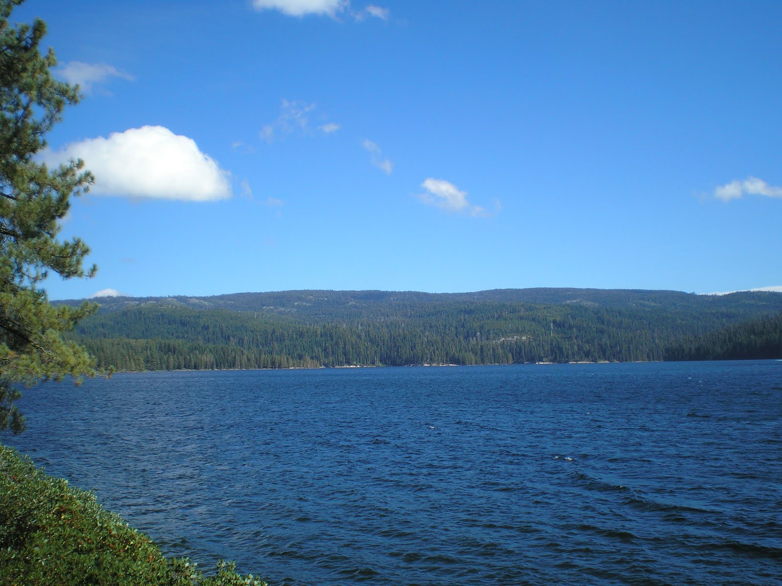 The Road Genealogist Lower Little Truckee CG to Bucks Lake
