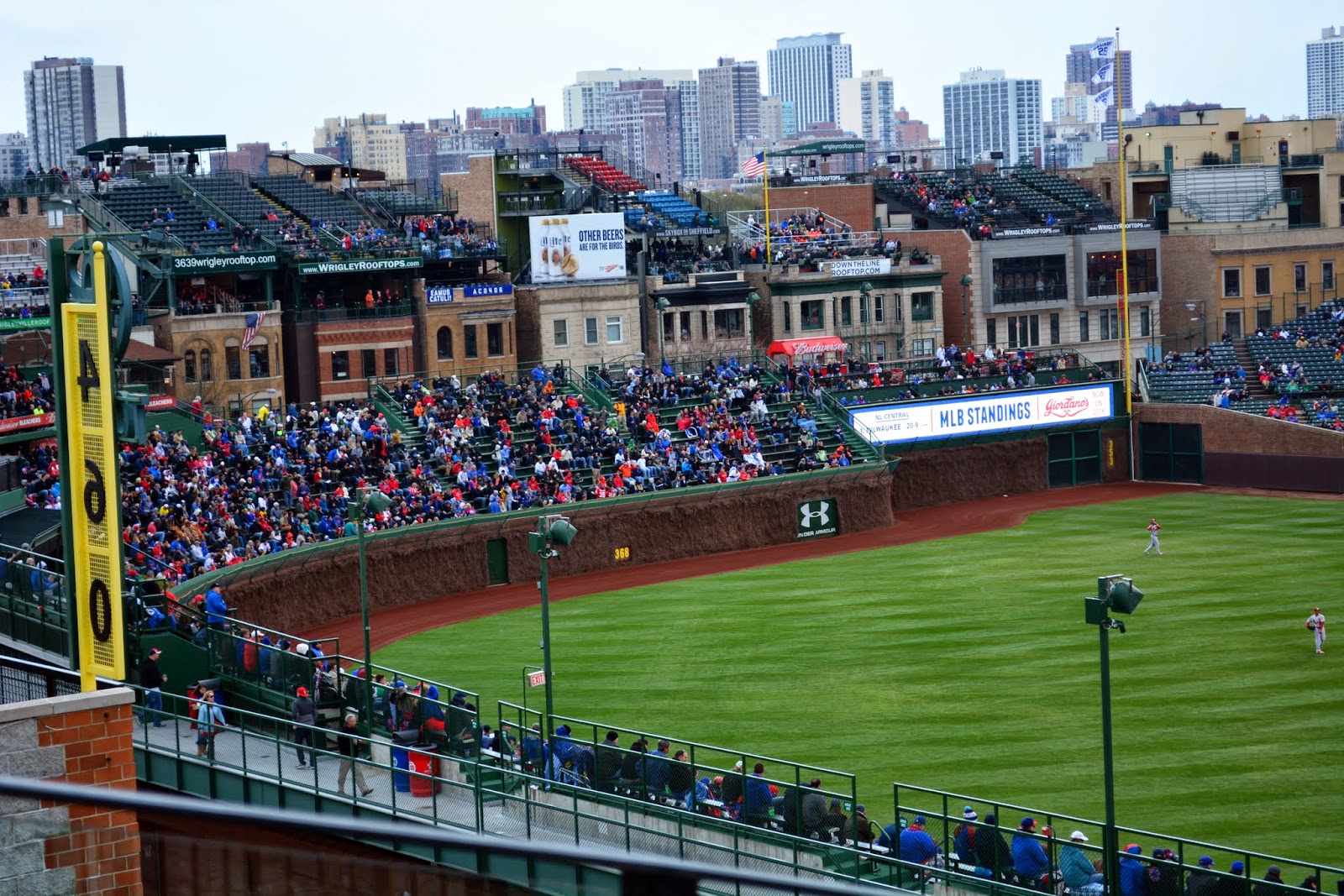 Mille Fiori Favoriti Wrigley FieldChicago CubsCelebrating 100 Years!