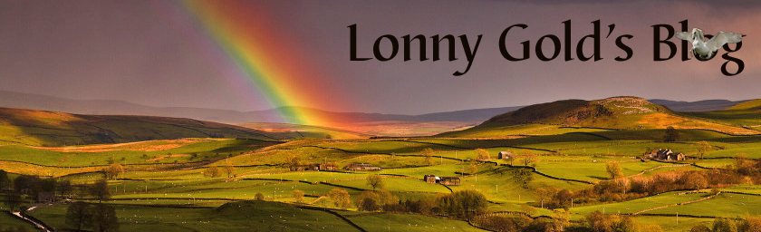 Lonny Gold's Blog