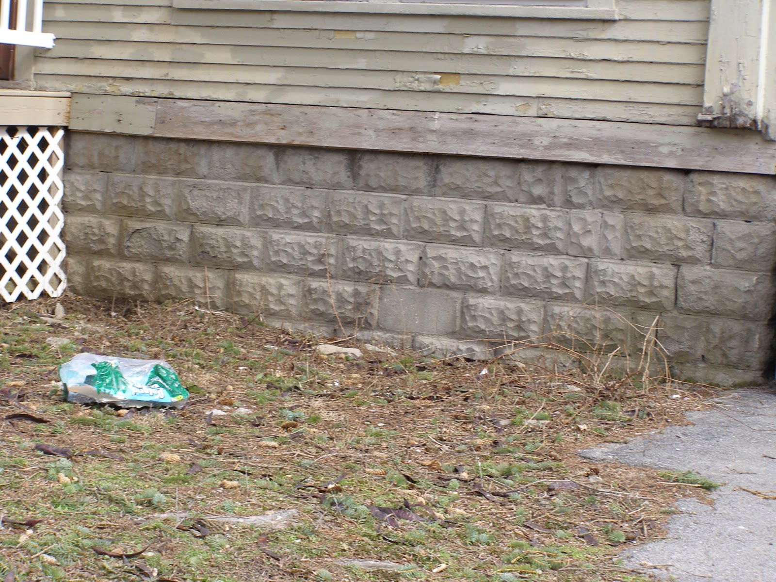 My Central New York Cast Block Houses Some Examples in the Westcott Area