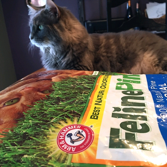 Dishfunctional Designs Moving Closer To Nature With Feline Pine